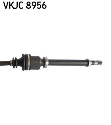Cardán SKF ref. VKJC 8956